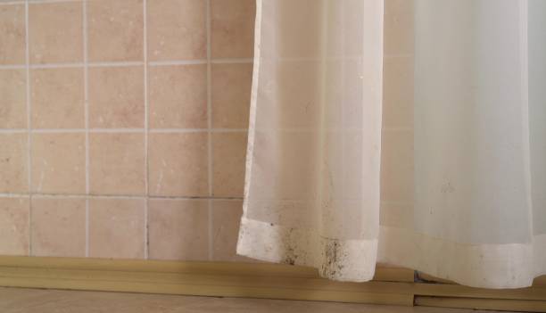 Best Mold Removal for HVAC Installations  in Hemlock, MI