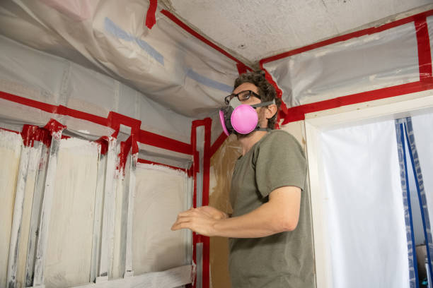 Best Commercial Mold Inspection  in Hemlock, MI