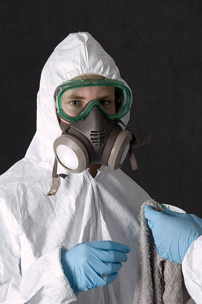 Best Mold Odor Removal Services  in Hemlock, MI
